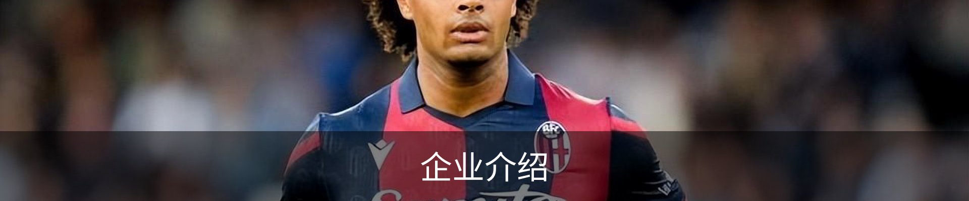 企业介绍